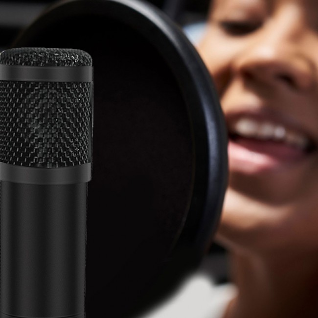 CATANES Professional Condenser Microphone With USB
