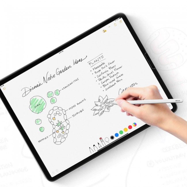 Apple iPad Pro 11-inch 2020 Tempered Glass - Clear