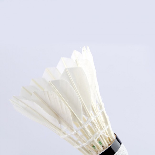 Premium Feather Shuttlecock Badminton Ball 12pcs