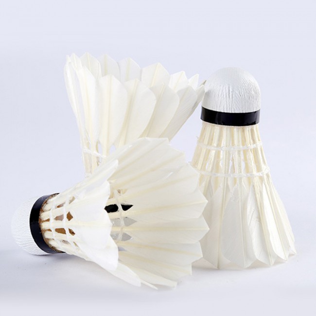 Premium Feather Shuttlecock Badminton Ball 12pcs