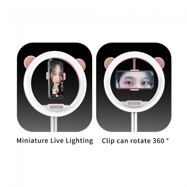 MAI Appearance G2 10-inch Ring Light for Photography with Mobile Holder