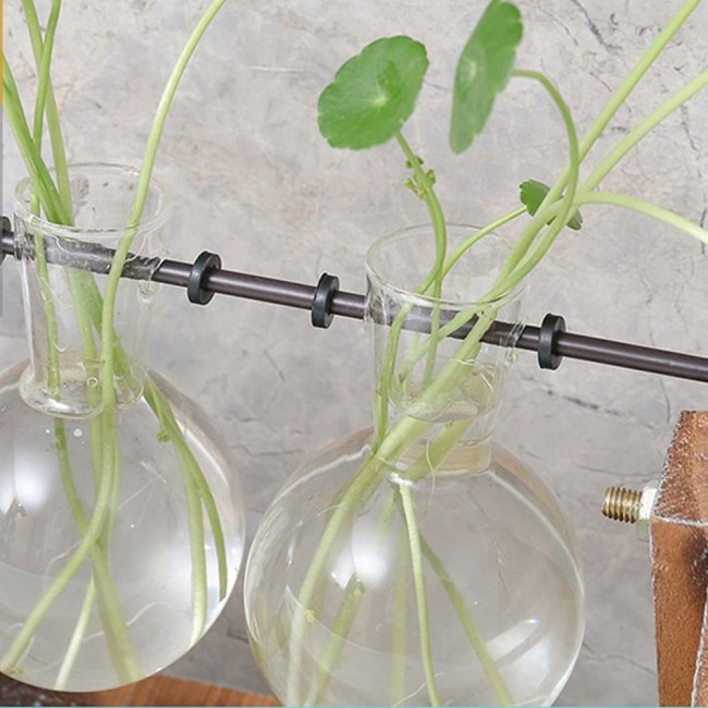 Minimalist Design Glass Vase in Wooden Stand in Three Designs