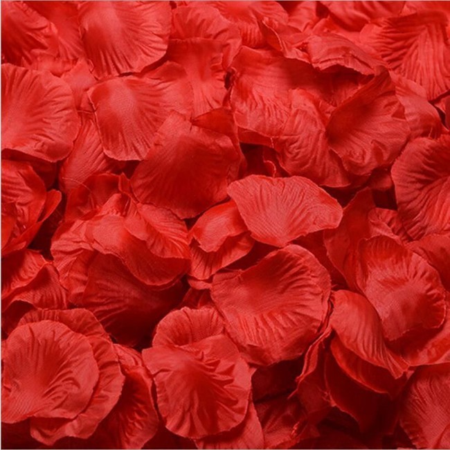 Valentine Day Gift Silk Fabric Red Rose Petals