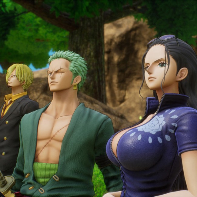 One Piece Odyssey : (PS5)