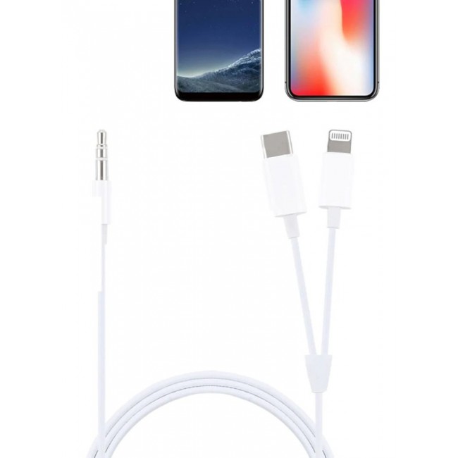 CATANES USB Type-C and Lightning to 3.5mm Aux Audio Jack Headphone Adapter 3 in 1 Audio Adapter for iPhone and Android Phones 100cm