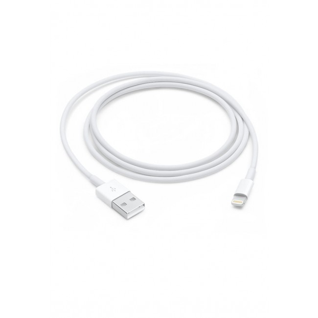Apple Lightning to USB Cable (2 m)