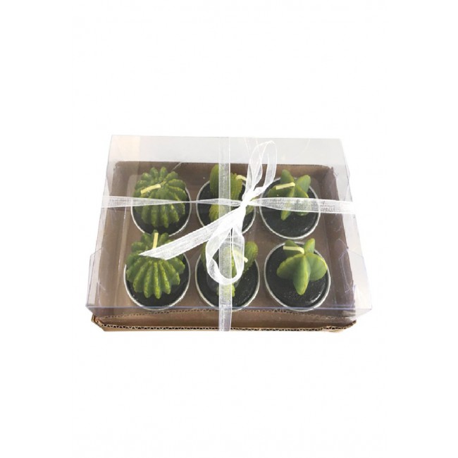 Margoun 6-Piece Mini Tea Light Decorative Cactus Candle