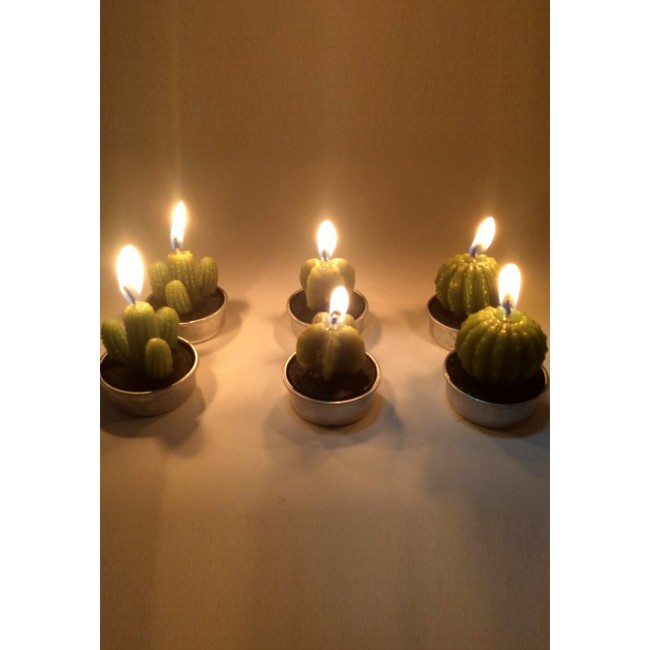 Margoun 6-Piece Mini Tea Light Decorative Cactus Candle