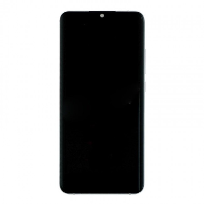 Screen Replacement with Frame for Xiaomi Mi Note 10/Note 10 Pro Silver (Silver)